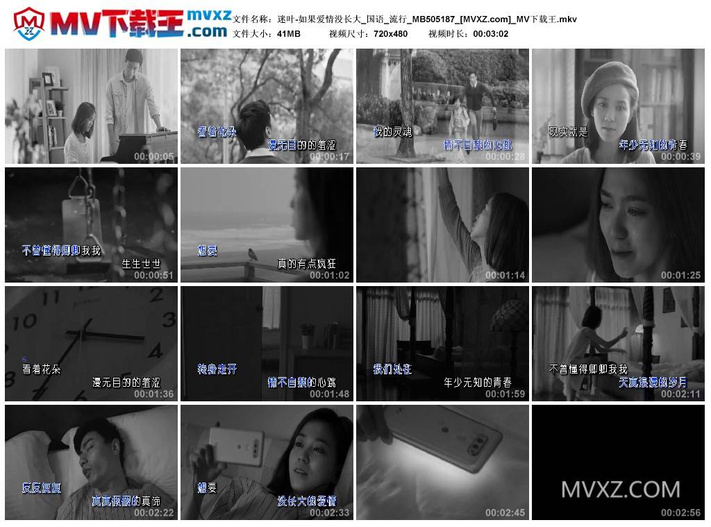 迷叶-如果爱情没长大_国语_流行_MB505187